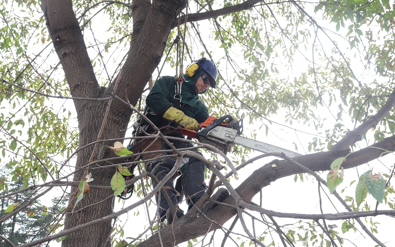 Bogotá Limpia – Servicio de aseo en Barrios Unidos y Engativá, Bogotá